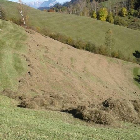 Pulvererhof كرامساش المظهر الخارجي الصورة